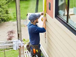 Best Vinyl Siding Installation  in Argentine, MI